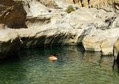 Swim in a refreshing desert wadi
