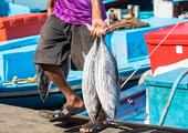 Try your hand at traditional fishing