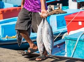 Fishing, The Maldives