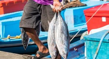 Fishing, The Maldives