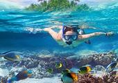 Go snorkelling by day or night