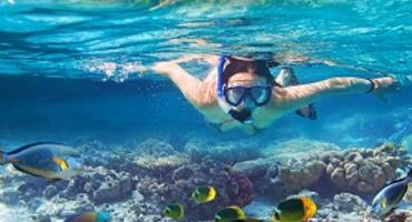 Snorkelling, Maldives