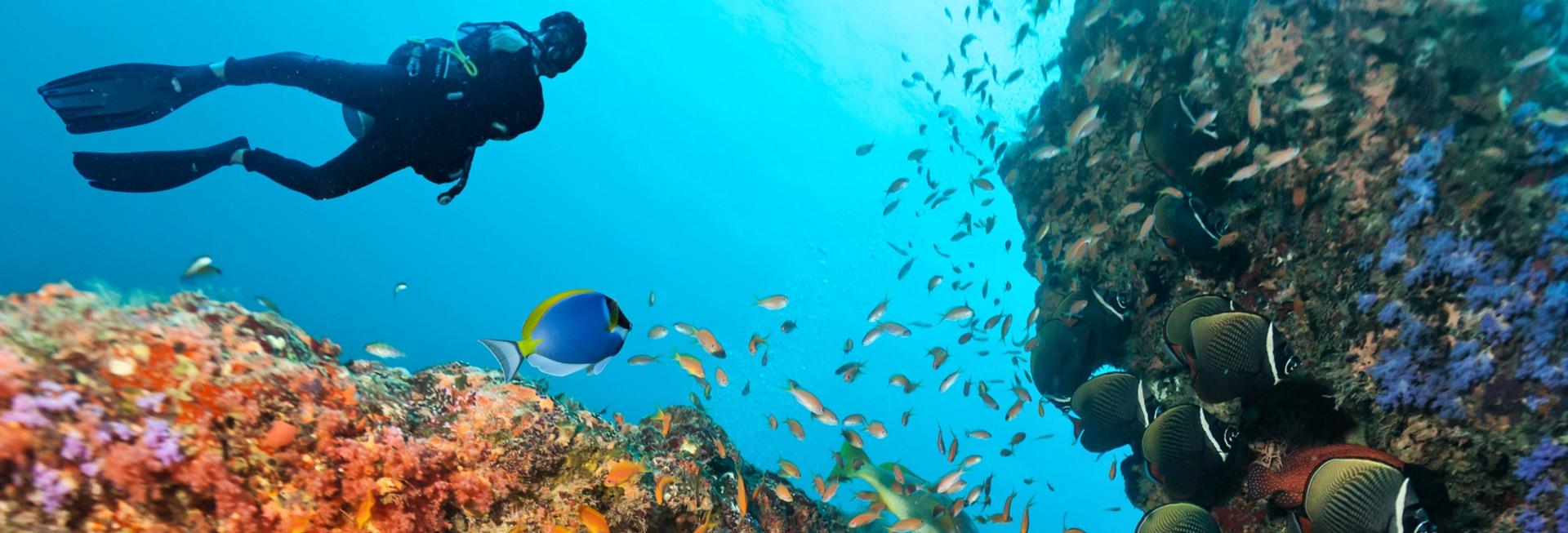 Diving, Maldives