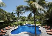 Paradise Sun