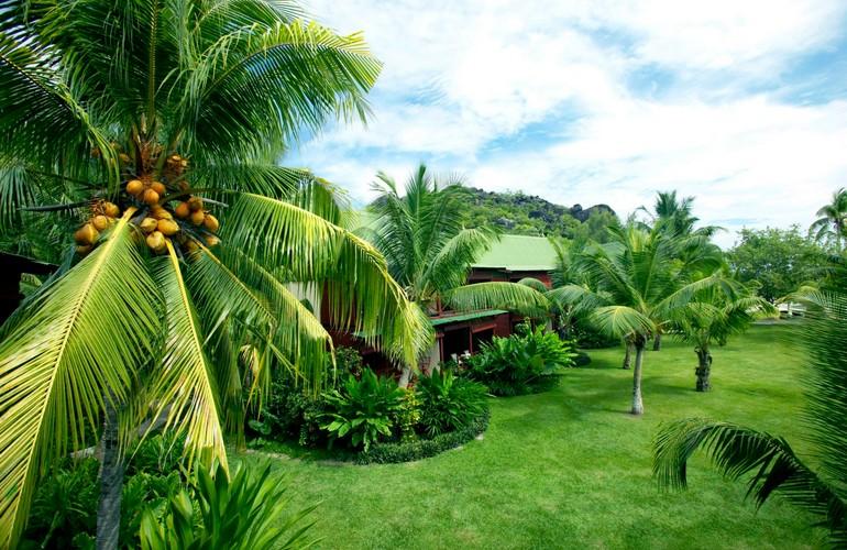 Gardens, Paradise Sun