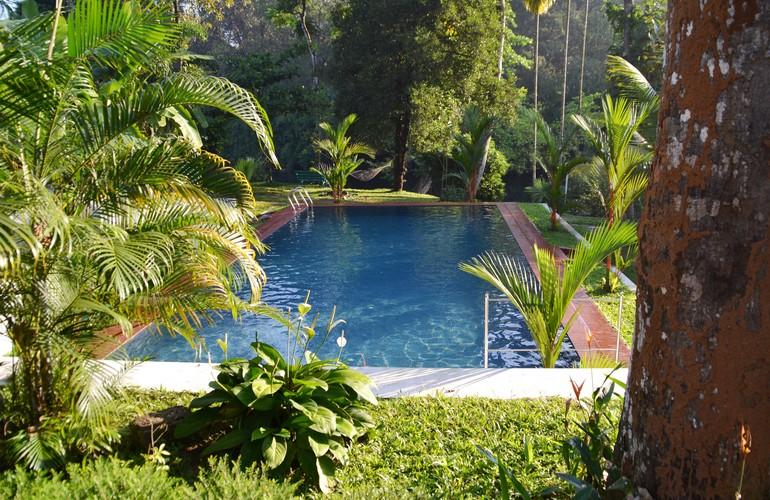Swimming Pool, Dewalokam