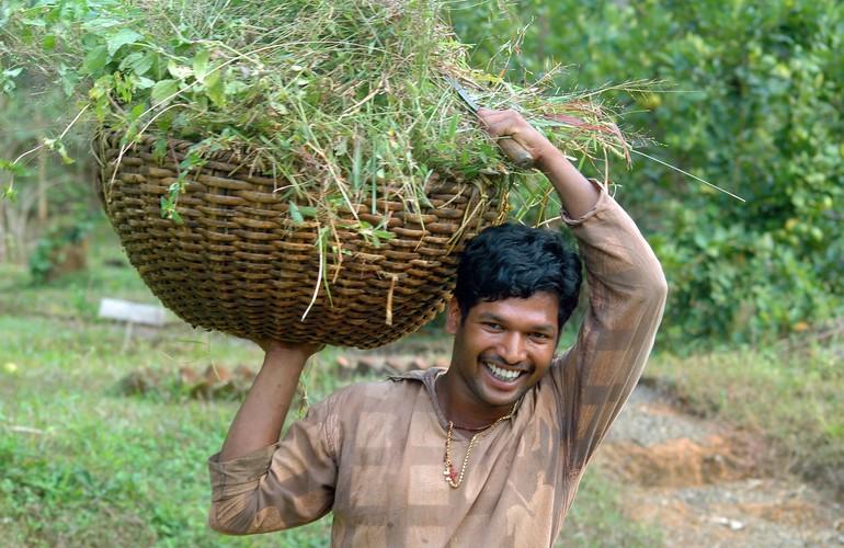 Organic farming, Dewalokam