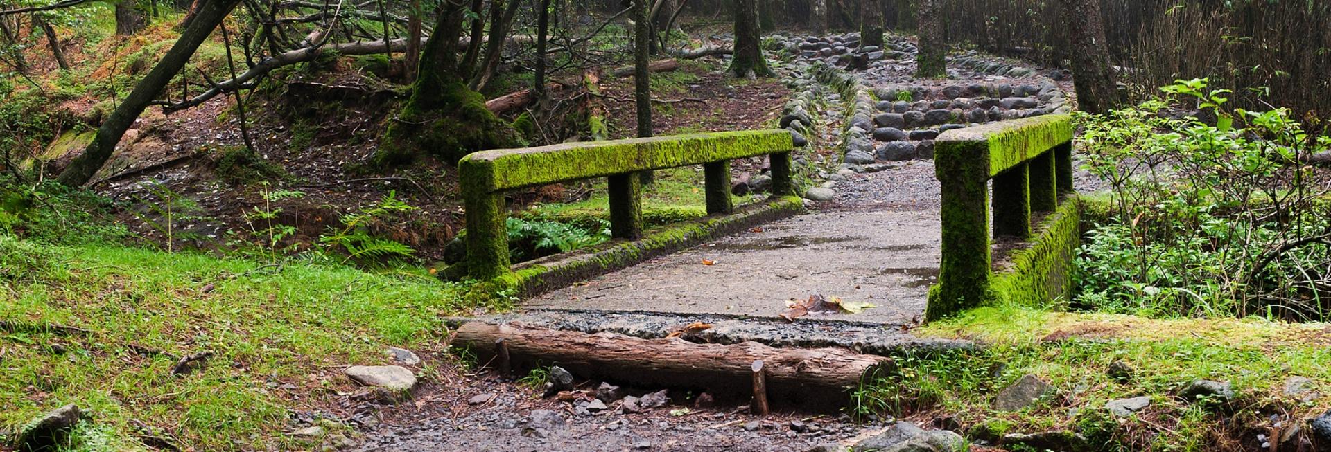 Walking in Kirishima National Park, Japan