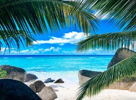 Silhouette Island