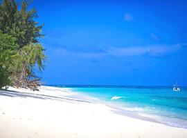 Denis Island