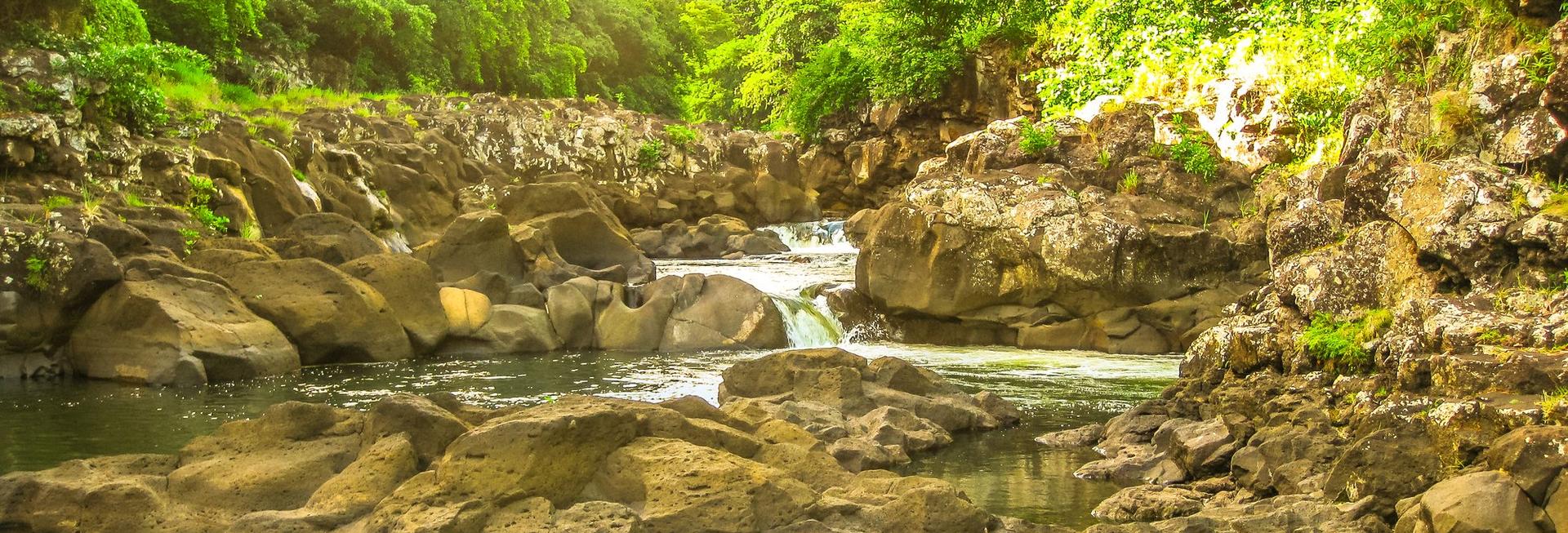 Black River Gorges National Park