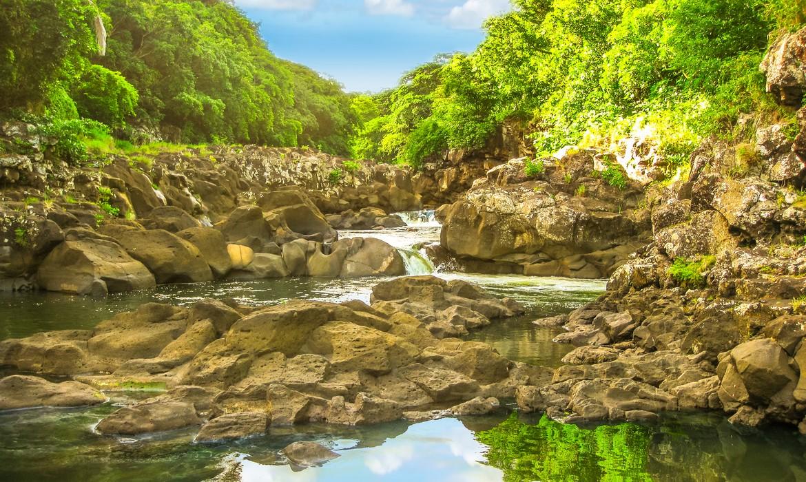 Black River Gorges National Park