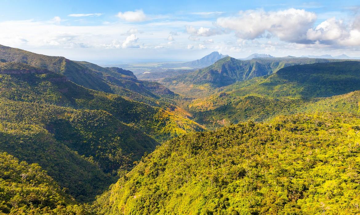 Black River Gorges National Park