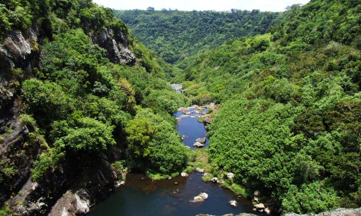 Seven cascades of Tamarind Falls