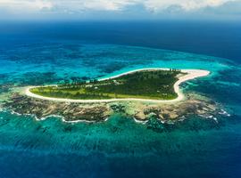 Bird Island Lodge