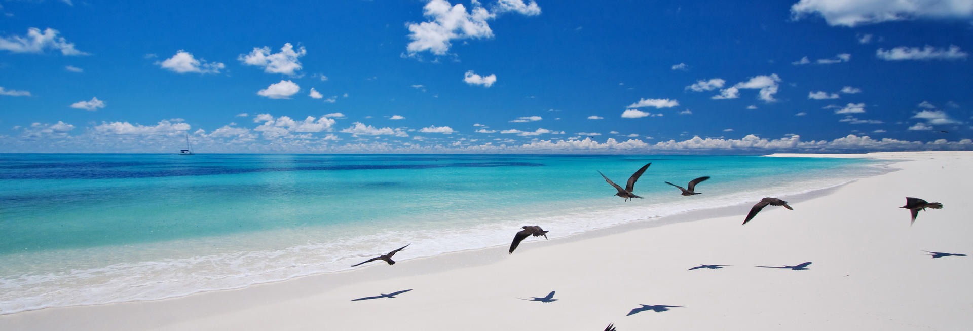 Bird Island Lodge