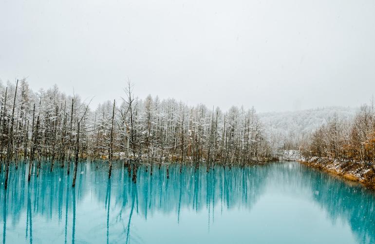 Blue pond, Biei