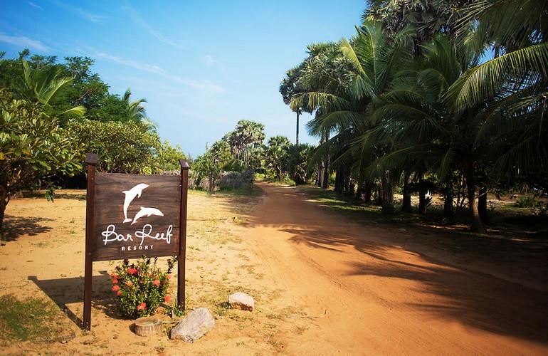 Entrance, Bar Reef Resort