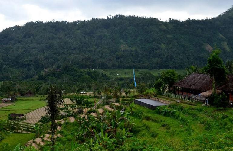 Rice terraces, Subak Tabola Villa