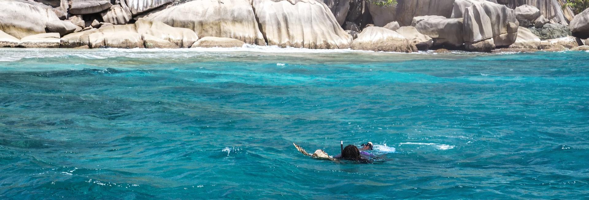 Snorkelling, La Digue