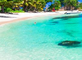 Snorkelling, Praslin