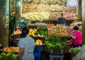 Creole Food Adventure