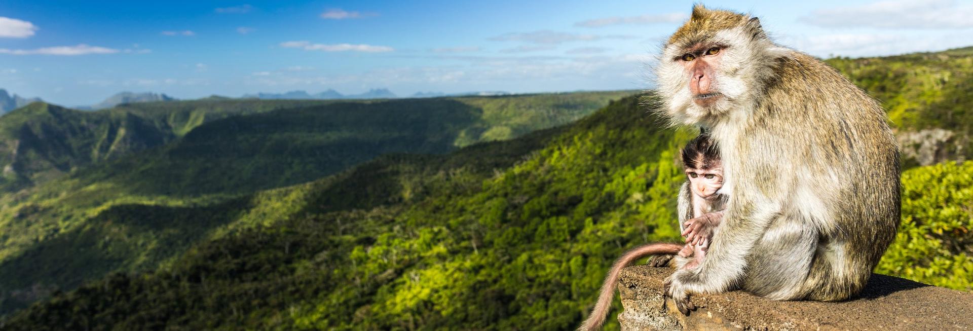 Black River Gorge National Park