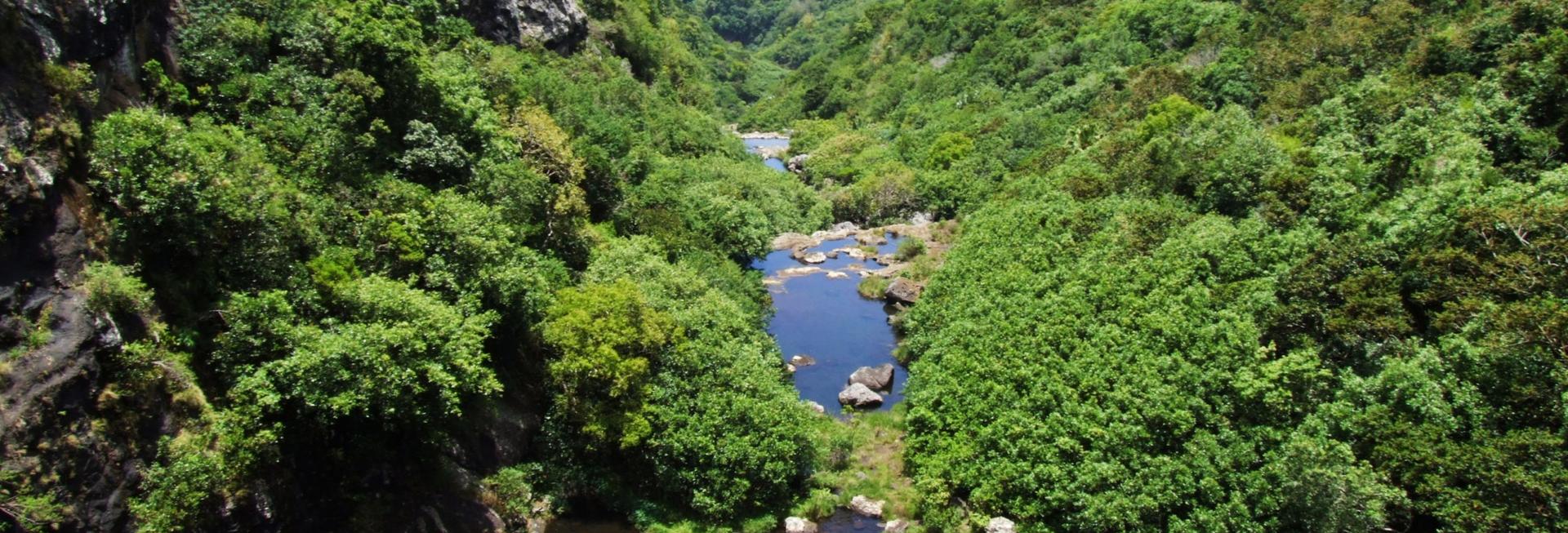 Seven cascades of Tamarind Falls