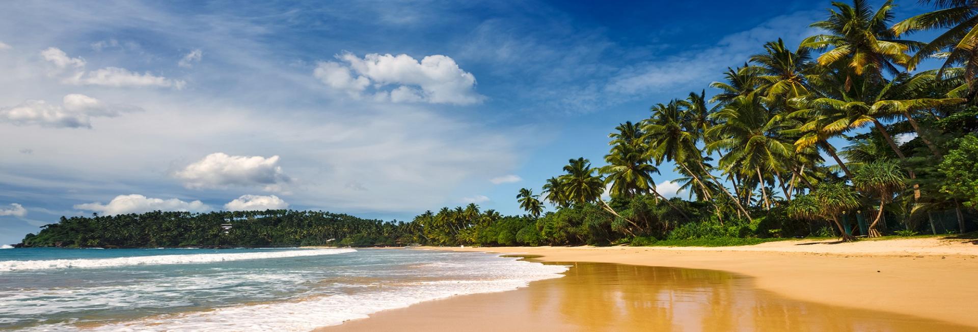 Honeymoon in Sri Lanka