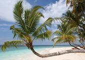 Boutique Maldives
