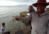 Dive into Kep's crab market