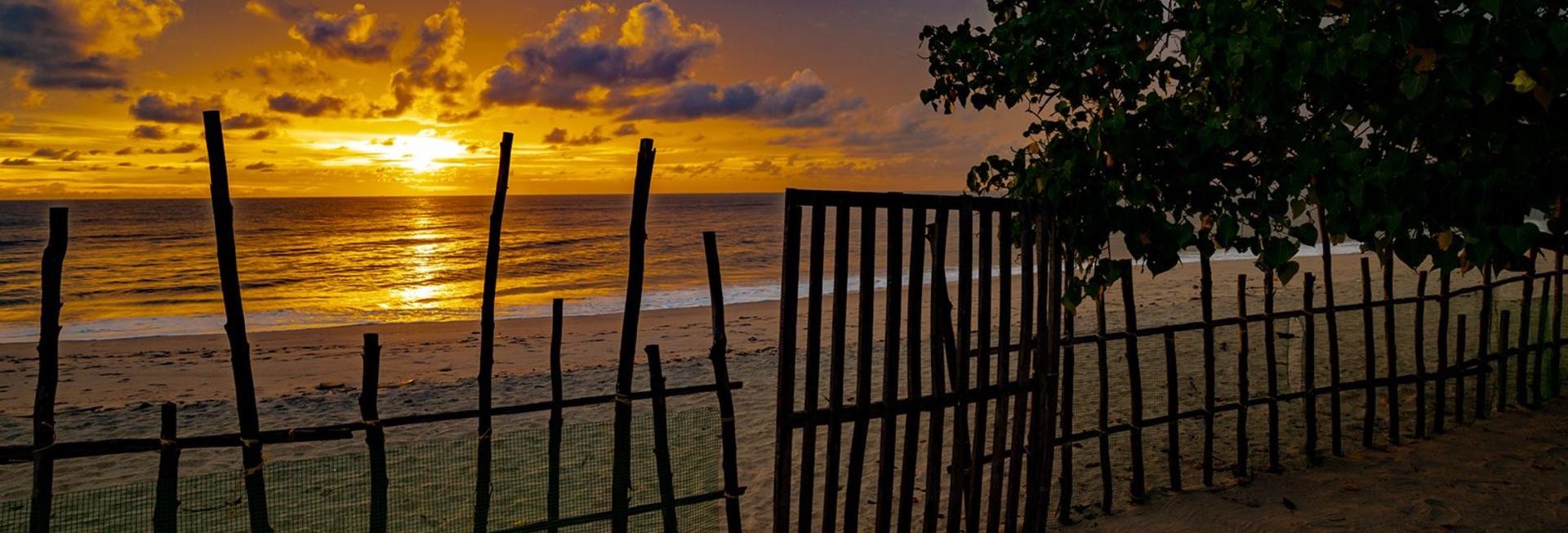 Veena - by the Beach