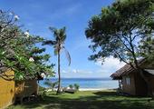 Visit Pamilacan Island and go dolphin watching