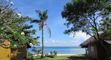 Visit Pamilacan Island and go dolphin watching, Bohol