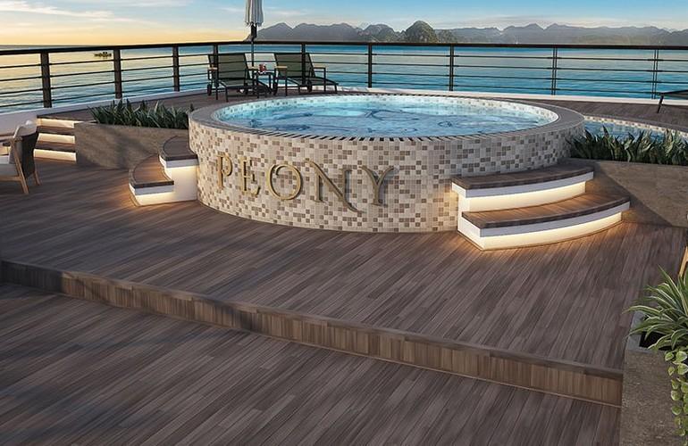 Plunge pool, Peony Cruise