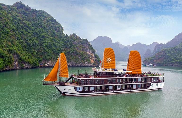 Peony Cruise