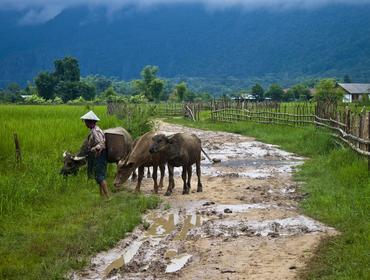 Rural scene, Laos