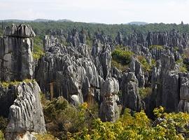 Stone Forest, Kunming