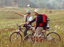 Biking, Phuket