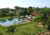 Sigiriya Jungles