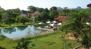 Sigiriya Jungles