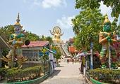 Discover the temples and jungle of Koh Samui