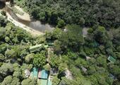 Our Jungle House