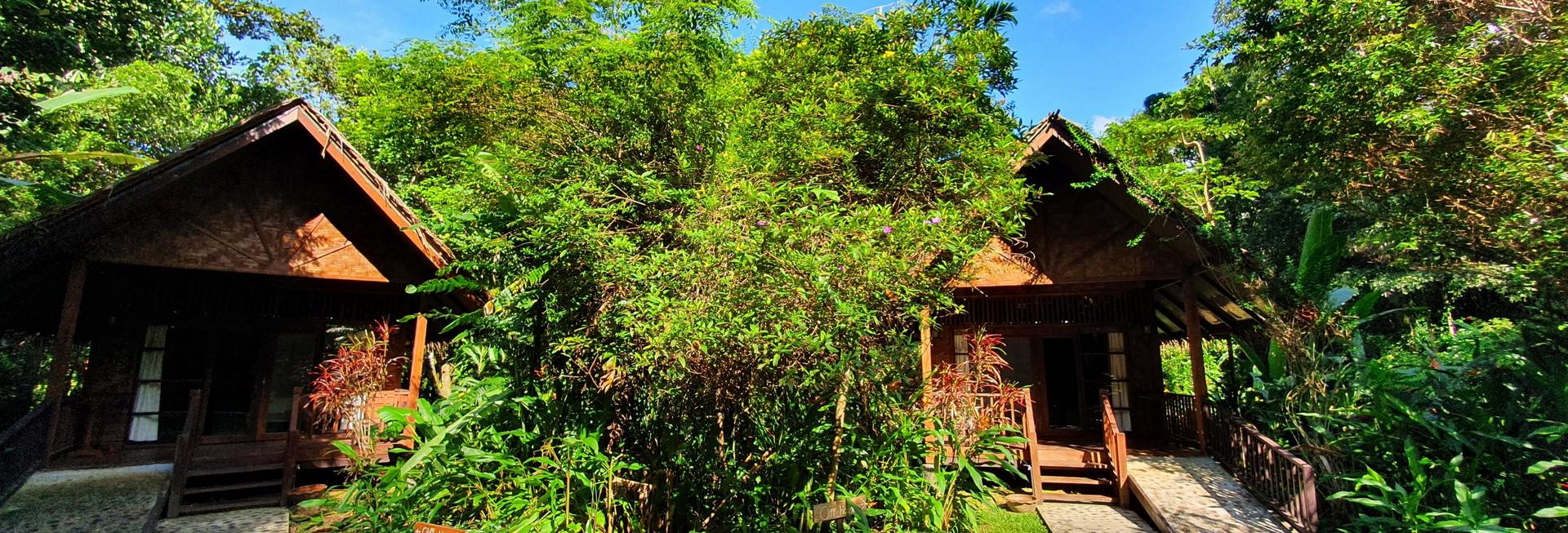 Our Jungle House