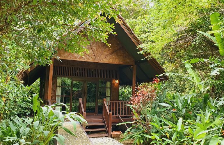 Cliff, Our Jungle House