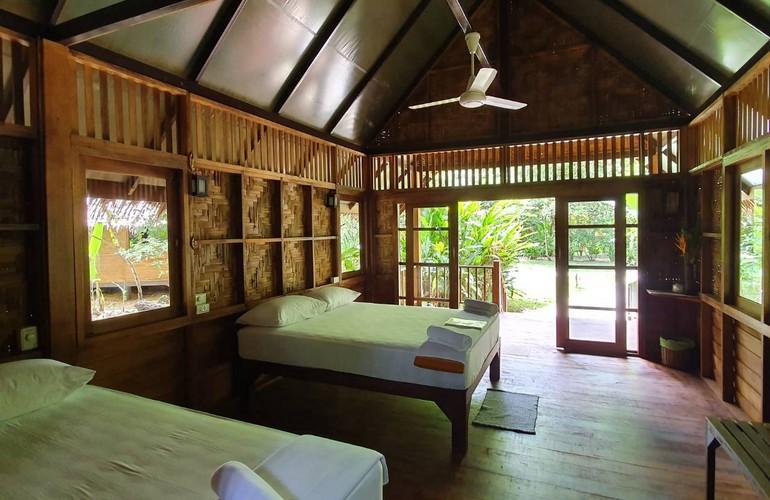 Cliff, Our Jungle House