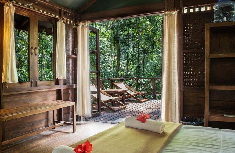 Forest, Our Jungle House
