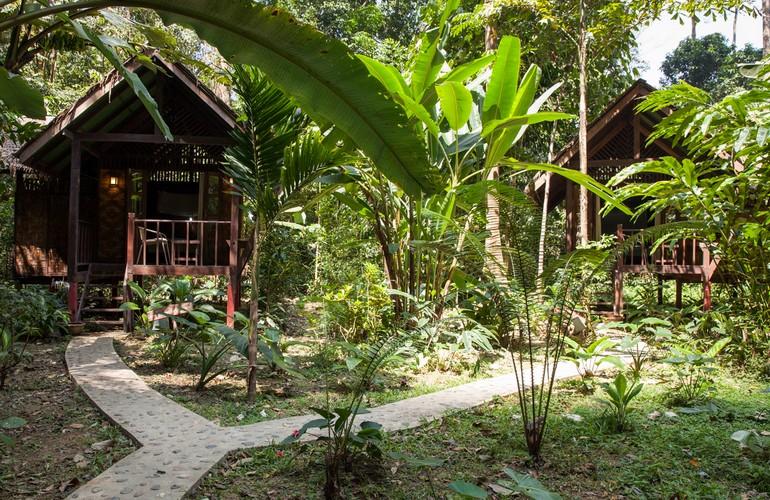 Jungle House, Our Jungle House