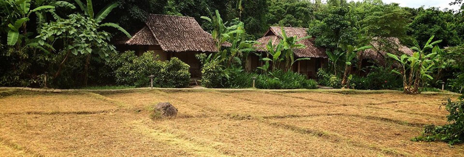 Fern Resort