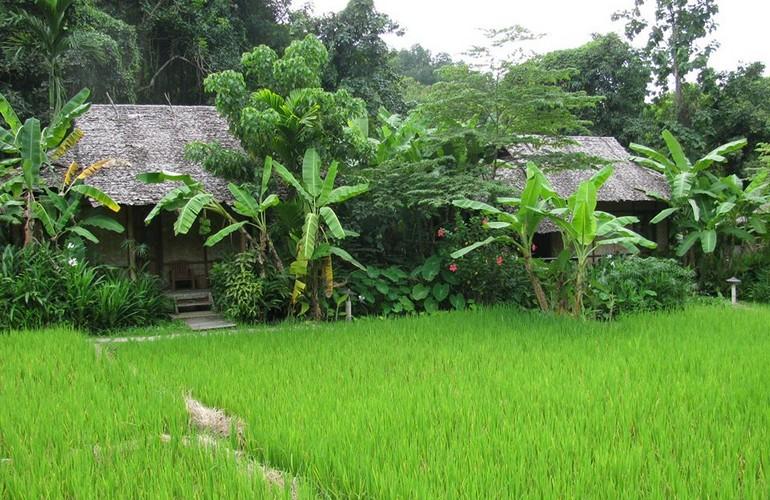 Bungalows, Fern Resort